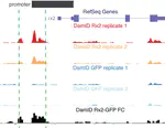 iDamIDseq and iDEAR: an improved method and computational pipeline to profile chromatin-binding proteins