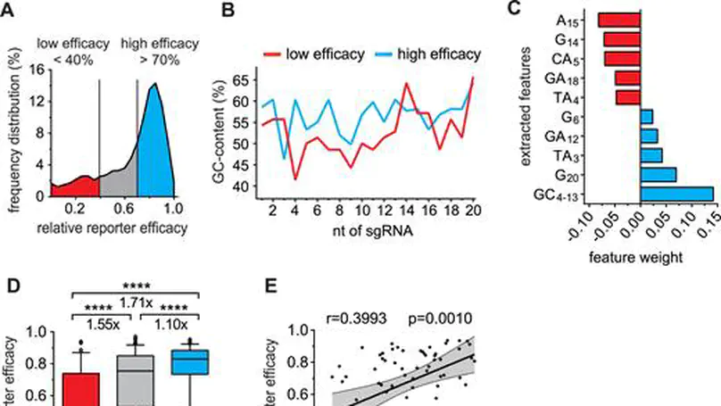 Refined sgRNA efficacy prediction improves large- and small-scale CRISPR–Cas9 applications